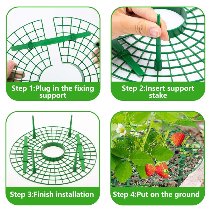 Iceyyyy 5 Pack Strawberry Plant Support - Strawberry Growing Racks with 4 Sturdy Legs - Strawberry Growing Frame Keep Berries Clean - Image 4